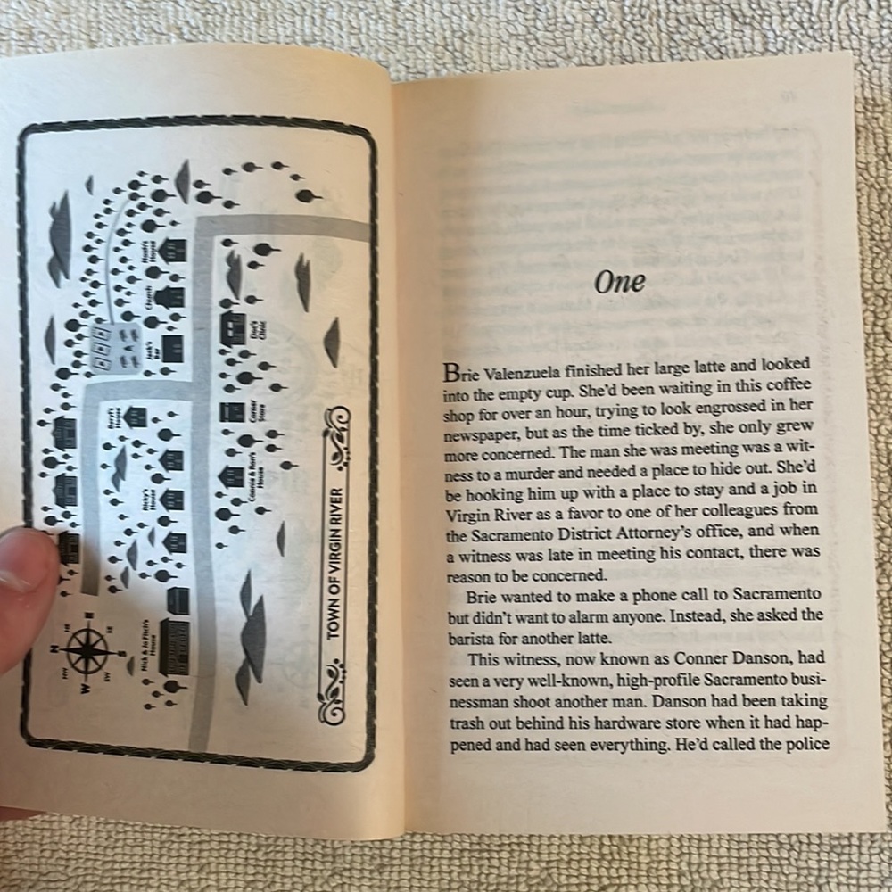 'Hidden Summit' Book - Picture 8 of 12